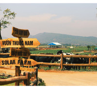 Khám phá trang trại Vinamilk Organic chuẩn châu Âu trên cao nguyên Đà Lạt