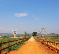 Khám phá trang trại Vinamilk Organic chuẩn châu Âu trên cao nguyên Đà Lạt