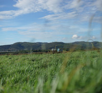 Khám phá trang trại Vinamilk Organic chuẩn châu Âu trên cao nguyên Đà Lạt