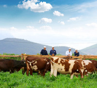 Khám phá trang trại Vinamilk Organic chuẩn châu Âu trên cao nguyên Đà Lạt