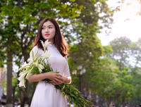 Hoa loa kèn tinh khôi xuống phố Hà Nội