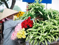 Hoa loa kèn tinh khôi xuống phố Hà Nội