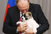 [ẢNH] Thú cưng, quà sinh nhật đặc biệt của Tổng thống Nga Vladimir Putin