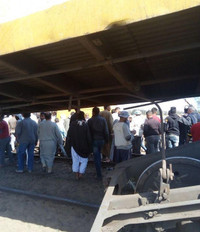 Hai tàu hỏa đâm nhau tại Ai Cập, 25 người thương vong