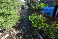 Hành trình 7.000 cây số để 