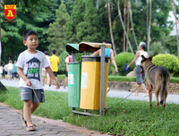 Hà Nội: Báo động tình trạng chó thả rông bất chấp nhiều tai nạn chết người