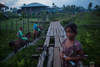 [ẢNH] Bi kịch của những người đàn ông đổi mạng vì món ăn sang của nhà giàu