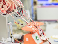 [ẢNH] Bác sỹ căng mình làm việc 12 tiếng 1 ngày trong bối cảnh thiếu máu do ảnh hưởng của dịch Corona