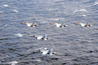 [ẢNH] Malabar 2018-cuộc tập trận biểu dương sức mạnh