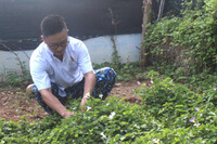 Những người thầy thuốc đặc biệt ở Trường Sa