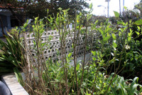 Những người thầy thuốc đặc biệt ở Trường Sa