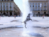 [ẢNH] Nắng nóng khủng khiếp 