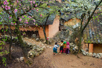 Lạc giữa thiên đường hoa Tây Bắc trên cao nguyên Vân Hồ