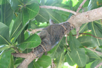 Mãnh liệt, kiêu hùng sức sống Trường Sa