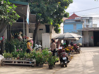 Những hình ảnh ở xã Đồng Tâm, ngày mới