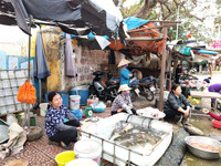 Những hình ảnh ở xã Đồng Tâm, ngày mới