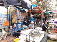 Những hình ảnh ở xã Đồng Tâm, ngày mới