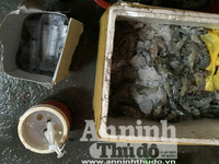 Cận cảnh quá trình bơm tạp chất vào tôm ở Hà Nội