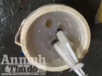 Cận cảnh quá trình bơm tạp chất vào tôm ở Hà Nội