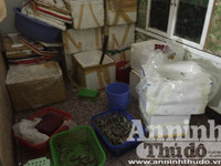 Cận cảnh quá trình bơm tạp chất vào tôm ở Hà Nội