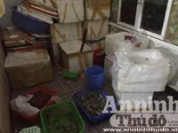 Cận cảnh quá trình bơm tạp chất vào tôm ở Hà Nội