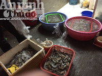 Cận cảnh quá trình bơm tạp chất vào tôm ở Hà Nội