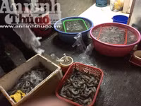 Cận cảnh quá trình bơm tạp chất vào tôm ở Hà Nội