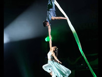 Mãn nhãn nghệ thuật xiếc