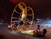 Mãn nhãn nghệ thuật xiếc