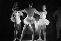 Mãn nhãn nghệ thuật xiếc