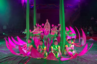 Mãn nhãn nghệ thuật xiếc