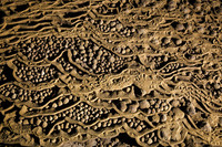 Khám phá 1 trong 13 trải nghiệm thú vị nhất tại Việt Nam theo CNN