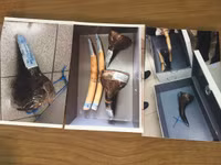 Cận cảnh số lượng lớn ngà voi giả được cán bộ Hải quan đánh tráo