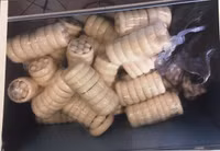 Cận cảnh số lượng lớn ngà voi giả được cán bộ Hải quan đánh tráo