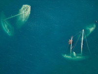 Những khoảnh khắc thảm họa thiên nhiên đáng sợ nhất thế giới năm 2017 (1)