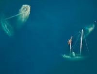 Những khoảnh khắc thảm họa thiên nhiên đáng sợ nhất thế giới năm 2017 (1)