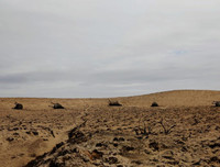 Những khoảnh khắc thảm họa thiên nhiên đáng sợ nhất thế giới năm 2017 (2)