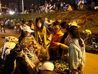 Chợ hoa Quảng An tấp nập dịp 20-10 với nhiều loại hoa lạ