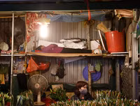 Chợ hoa Quảng An tấp nập dịp 20-10 với nhiều loại hoa lạ