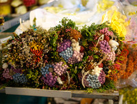 Chợ hoa Quảng An tấp nập dịp 20-10 với nhiều loại hoa lạ