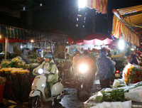 Chợ hoa Quảng An tấp nập dịp 20-10 với nhiều loại hoa lạ