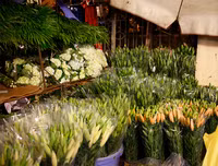 Chợ hoa Quảng An tấp nập dịp 20-10 với nhiều loại hoa lạ