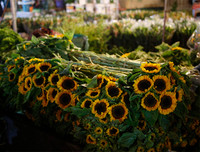 Chợ hoa Quảng An tấp nập dịp 20-10 với nhiều loại hoa lạ