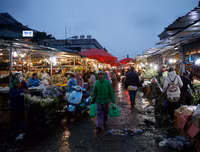 Chợ hoa Quảng An tấp nập dịp 20-10 với nhiều loại hoa lạ