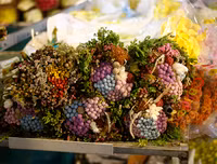 Chợ hoa Quảng An tấp nập dịp 20-10 với nhiều loại hoa lạ