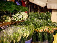 Chợ hoa Quảng An tấp nập dịp 20-10 với nhiều loại hoa lạ