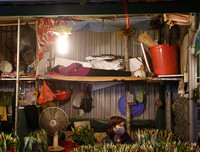 Chợ hoa Quảng An tấp nập dịp 20-10 với nhiều loại hoa lạ