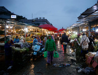 Chợ hoa Quảng An tấp nập dịp 20-10 với nhiều loại hoa lạ