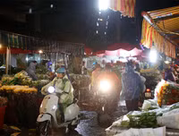 Chợ hoa Quảng An tấp nập dịp 20-10 với nhiều loại hoa lạ