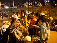 Chợ hoa Quảng An tấp nập dịp 20-10 với nhiều loại hoa lạ